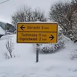 Отель Zum Hirschen 2*