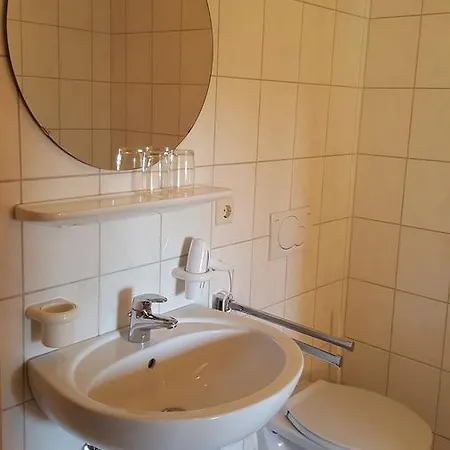 Hotel Gasthof Zum Hirschen 2*